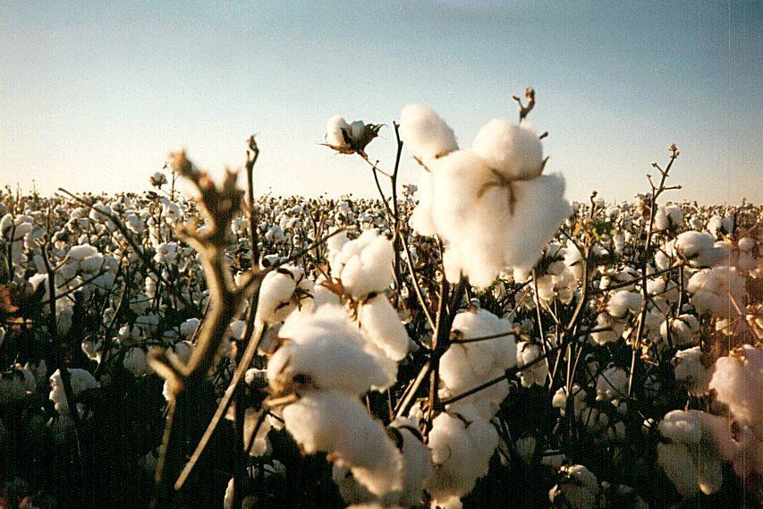 zdrava otroška oblačila