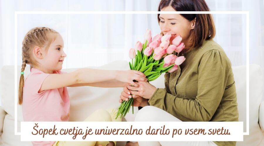 sopek-cvetja-sanjski-sopek